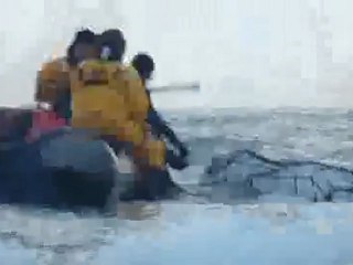 Buzos en la Antártida - Recreación