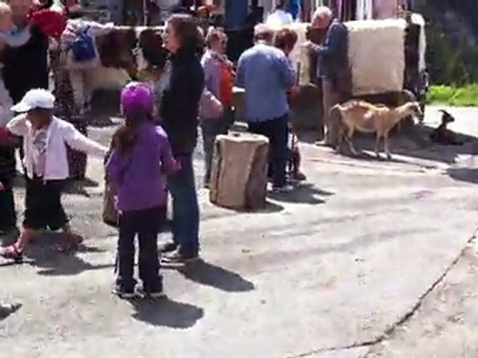 village des chèvres