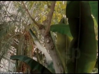 Este fin de semana se estrena Chloe