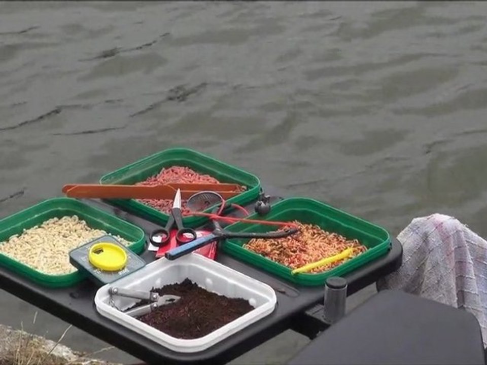 Les joies et les peines de la pêche en canal.