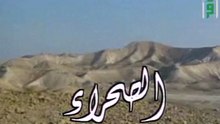 الصحـــــراء | حلقات العلم والإيمان
