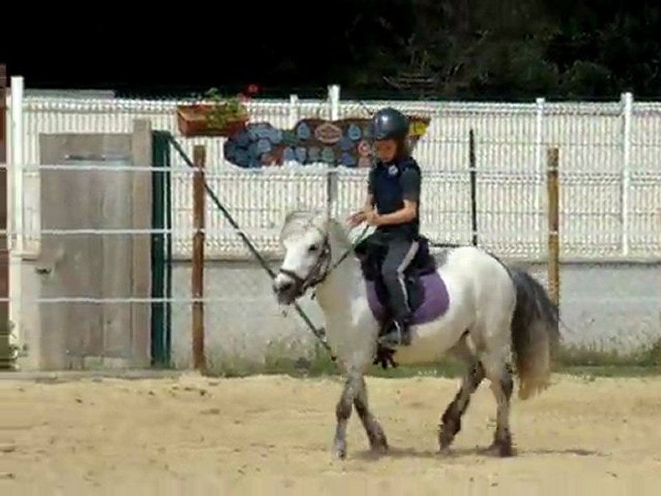 jade reprise cours 2