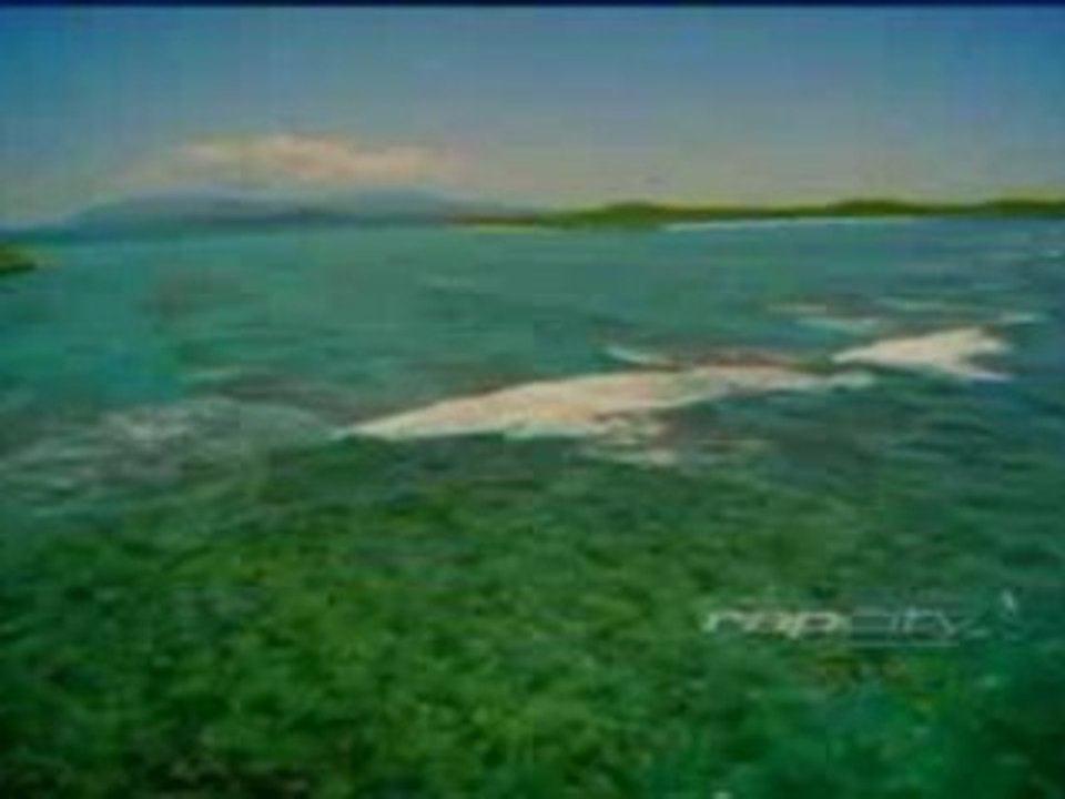 Big Pun - 100 Percent