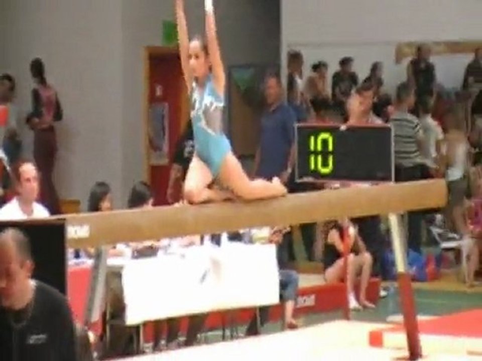 Sarreguemines Zone est ind  gym