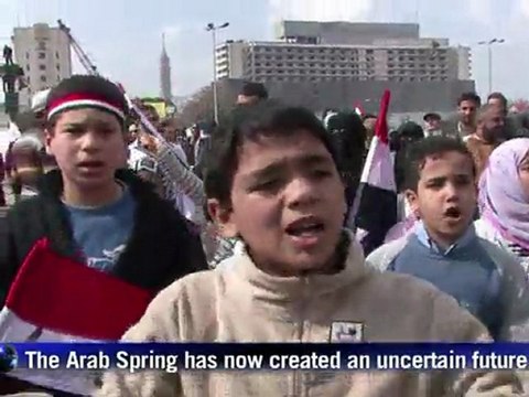 Six months of the Arab Spring: Tunisia, Egypt and Bahrain