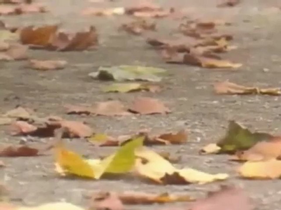 北原由紀メドレー Ⅰ