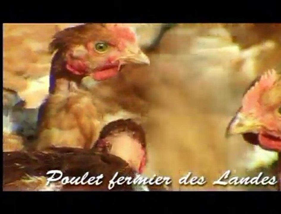 L'agriculture et les Landes