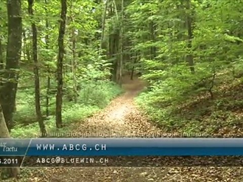 Vues sur l'Actu du 16 juin 2011