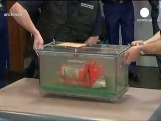 Llegan a Francia los cuerpos de las víctimas del vuelo...