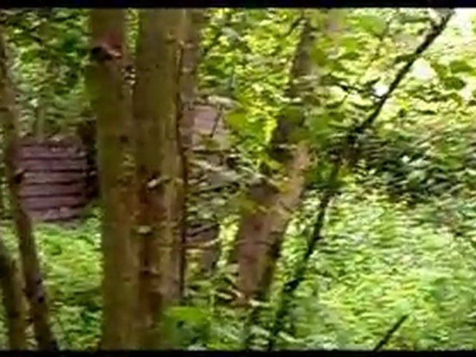 armée belge sur notre terrain paintball TSA!