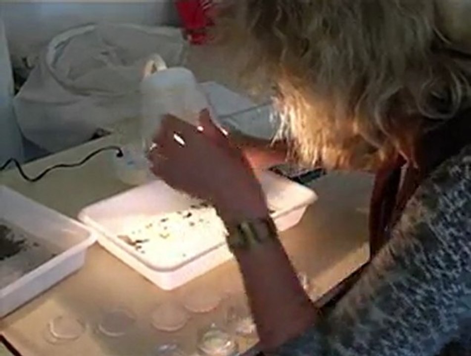 Stage PNF "écologie des rivieres", Florac mai 2011