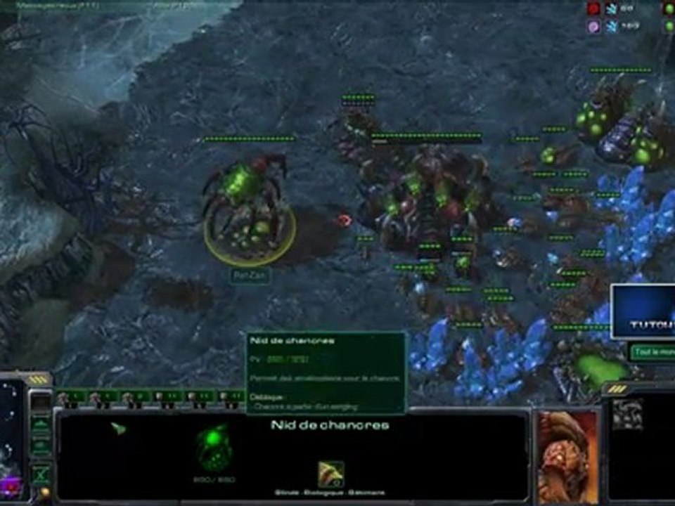 Replay Pandaria  - Soleil Noir Vs Brother Community - HD - FR