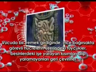 Saniyeler içinde vücutta gerçekleşen işlemlerden bazıları