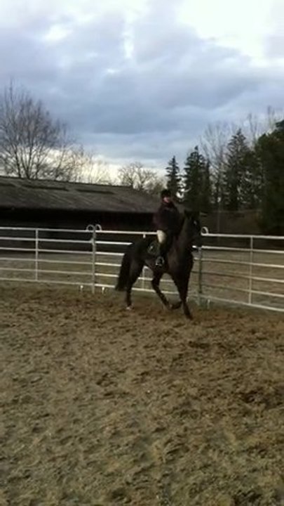 1er travail avec ma jument