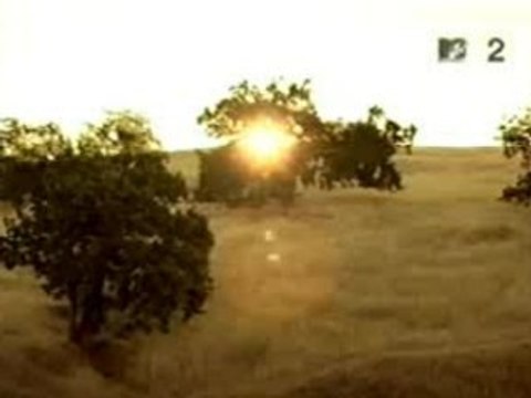 Weezer - Island In The Sun