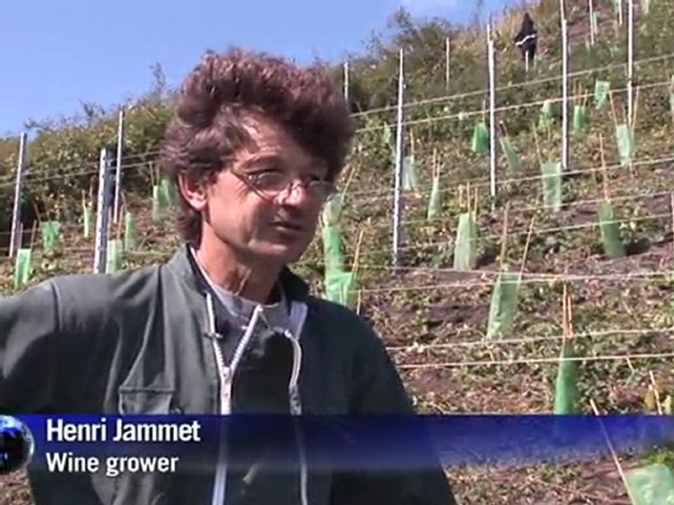 Making wine in France's coal belt
