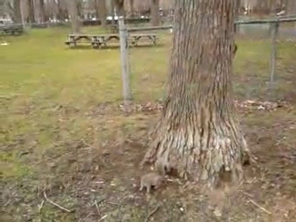 Vidéo0026