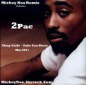 2Pac - Thug 4 Life / Take You There Mix 2011 (Remix By MickeyNox)