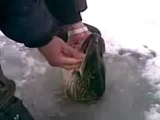 Russian Ice Fishing - bare handed!