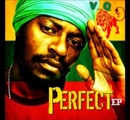 Perfect : Rasta Dub plate