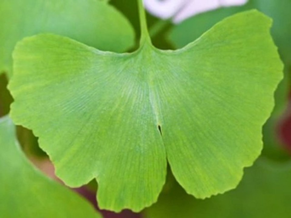 Medizinische Massagen Koblenz Am Rhein Peter Emsbach ...