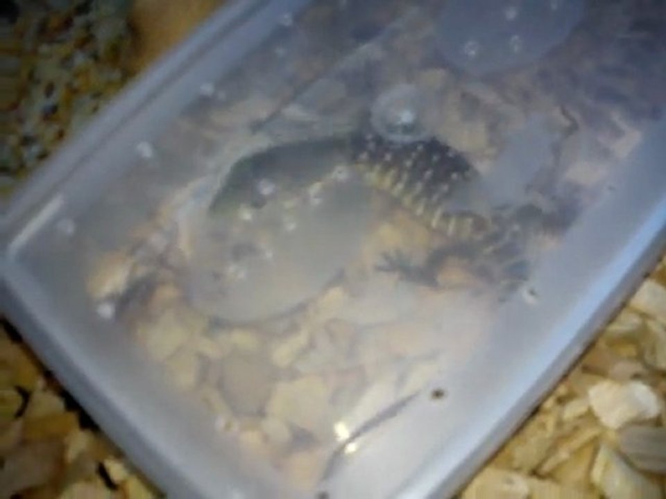 Eliot ^^