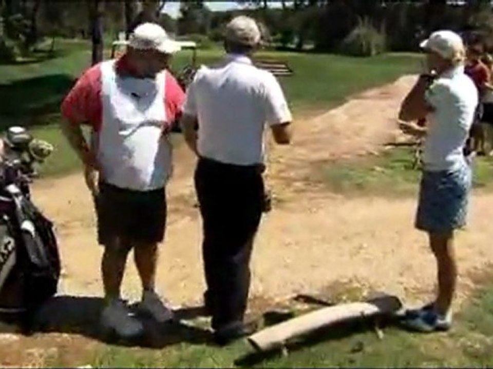 Guy accidentally crashes golf cart into tree