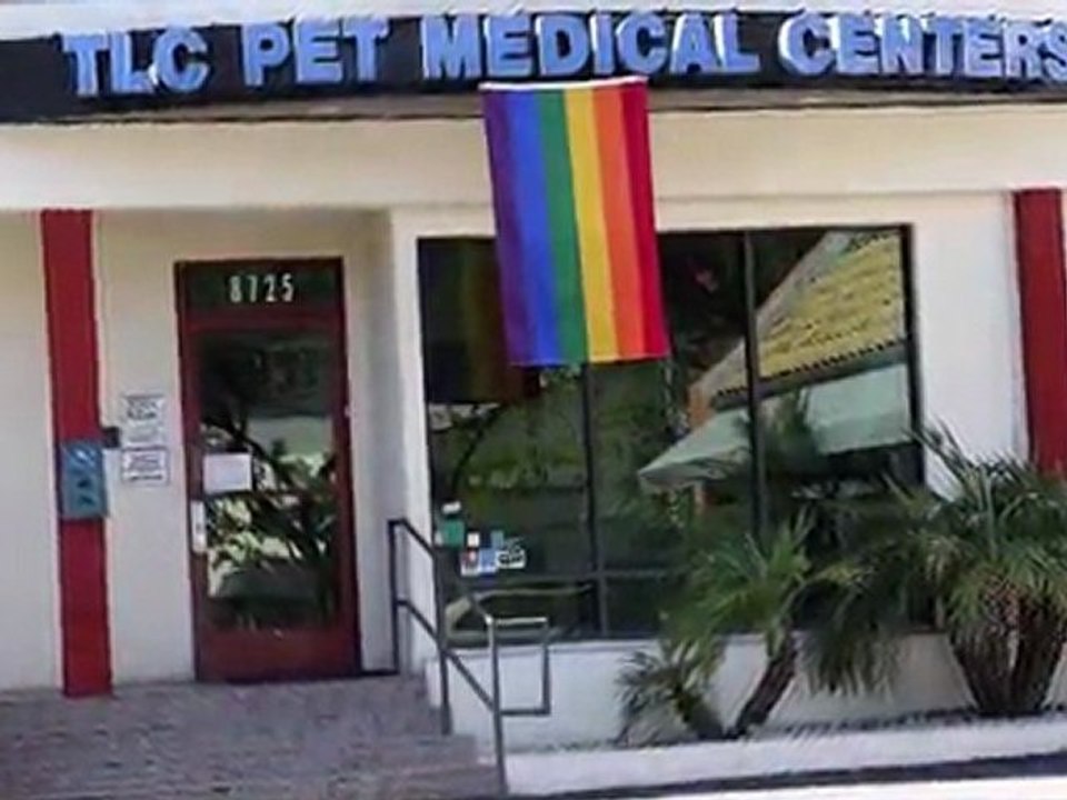 Kelly Osbourne Loses Dog to Brain Defect