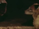 Abhi Toh Haath Mein Jaam Hai song - Seeta Aur Geeta