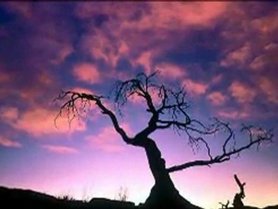 yıldız çam - yatamadım gasavetten