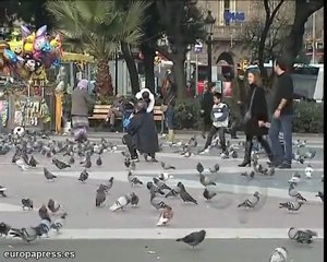 Download Video: Joven muere apuñalado en el centro de Barcelona