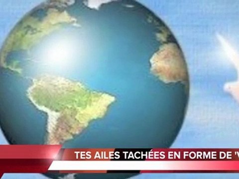 COLOMBE DE PAIX-ENSEMBLE -TEXTE RENÉE-FRANCE GHARBI-BOURDARIE