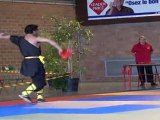 Championnat de France de Kung Fu Traditionnel 2011 (Cléon) 08/36 Armes seniors - Sabres Demi-Lunes