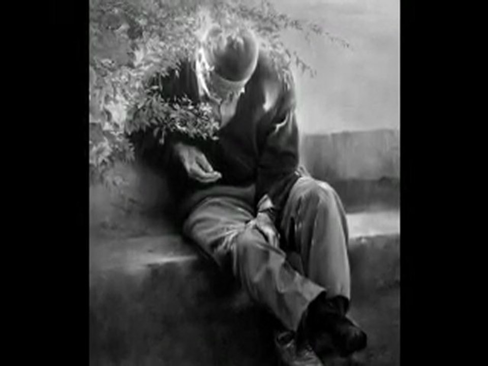 yıldız çam - yürü bire yalan dünya