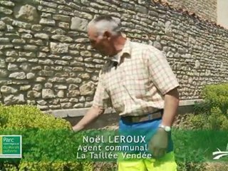 Formation des agents municipaux et des élus du Parc du Marais poitevin aux techniques d'entretien naturel