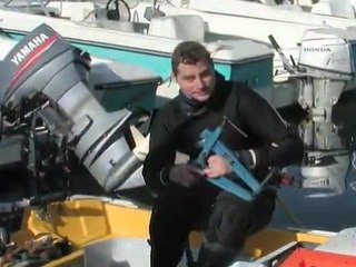 Below the Waterline Diving Service