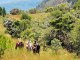 Randonnée à cheval Afrique du Sud - Drakensberg - Kruger