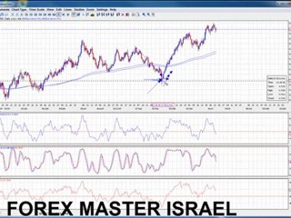 חשיפה בשוק המטח