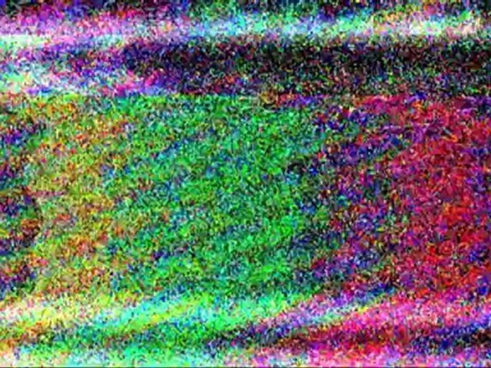 TV3 - Polònia - Els candidats a presentar "Els matins"