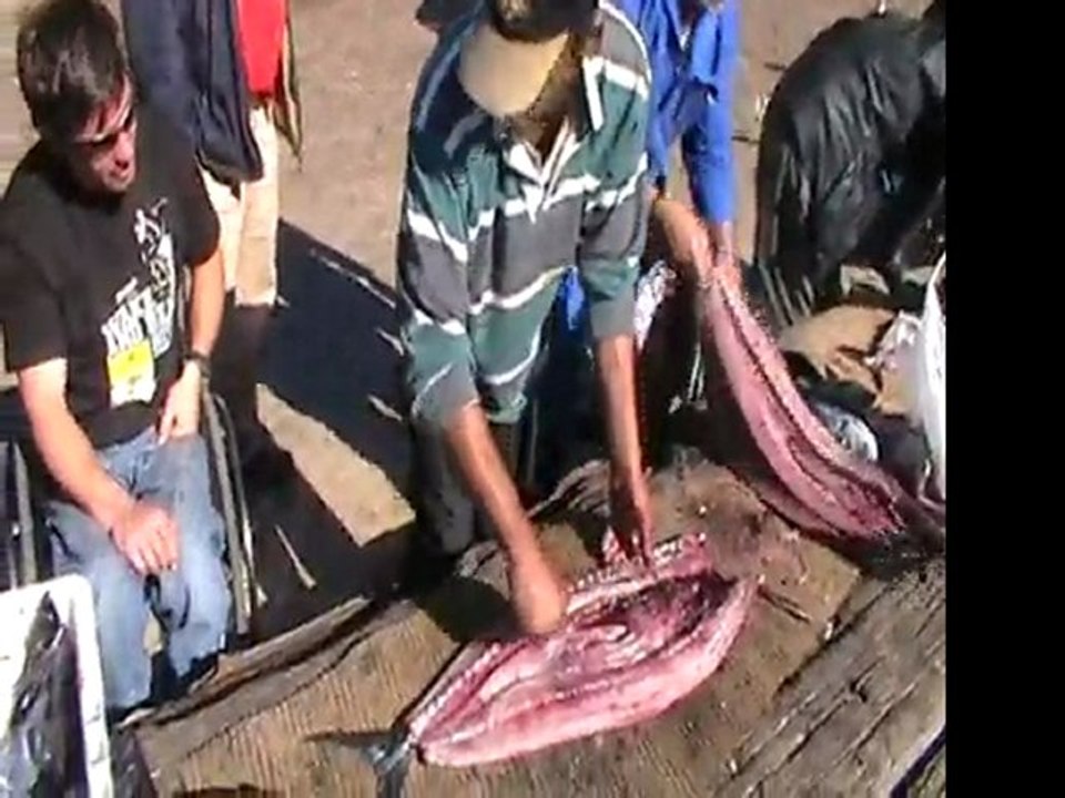 MBWT Afrique du Sud - voyage handicap wakeboard