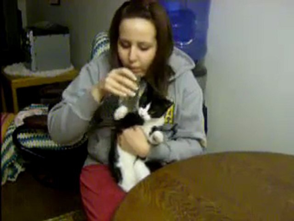 Le chat complètement accro... à l'eau gazeuse :
