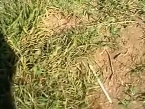 Aversa - Parco Balsamo abbandono e degrado