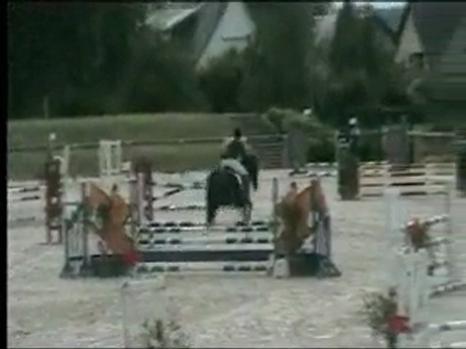 Tarzan juin11 St Lo 4ans