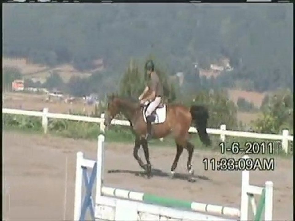 SR Testigo