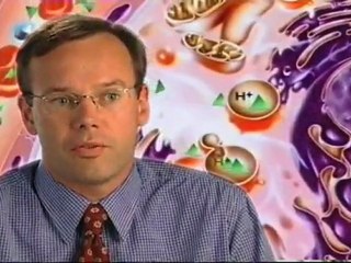 Order Generic Azithromycin Buy Zithromax 250mg