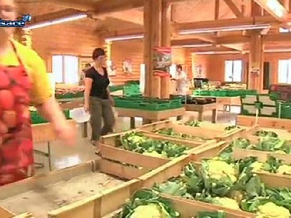 Alimentation: comment manger sain?