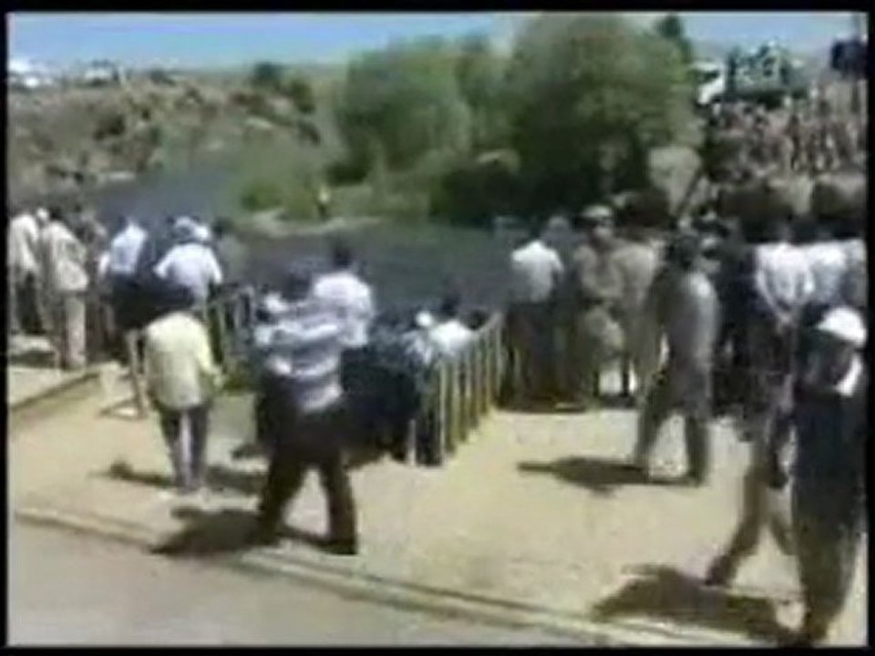 Van Gölü'nde İnci Kefali dansı (www.tatvanhaber.org)