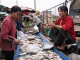 Marché aux poissons LAOS VIETNAM