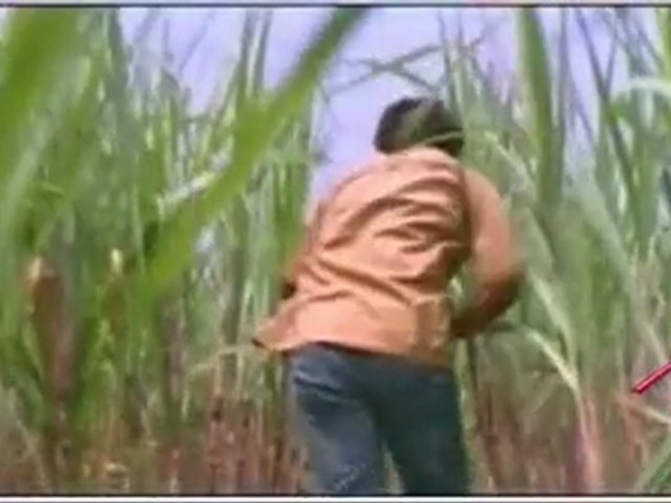 Latest Song from Snehithuda