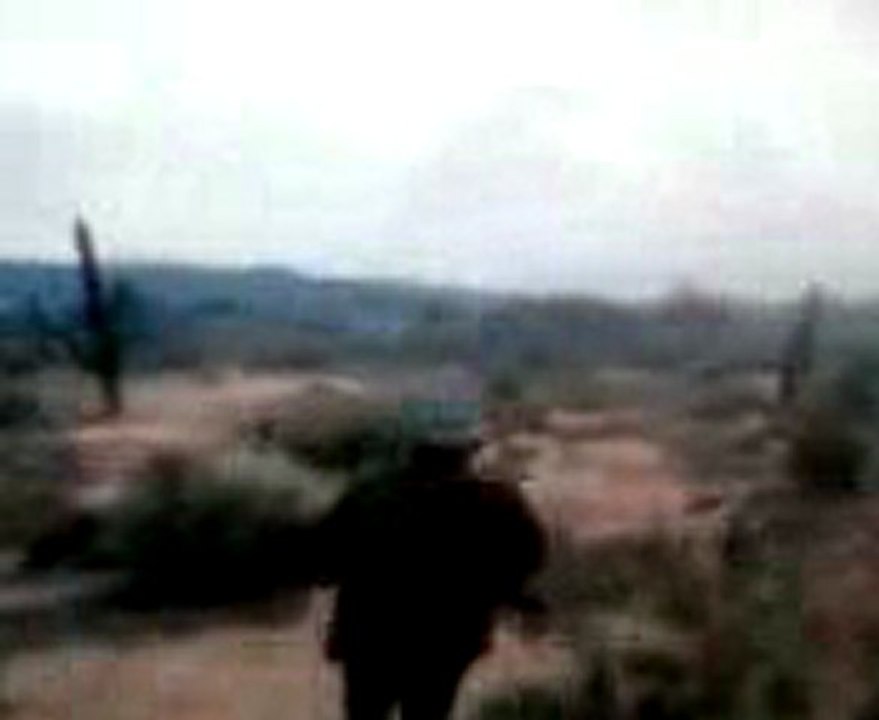 Red dead redemption : Ovnis a Armadillo